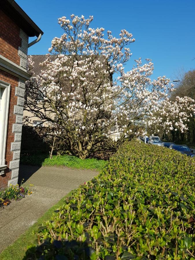 Gartenblick Olsztyn Bagian luar foto